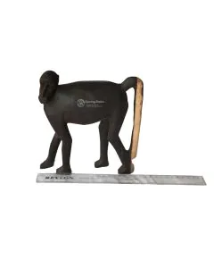 Nyani/Monkey #1