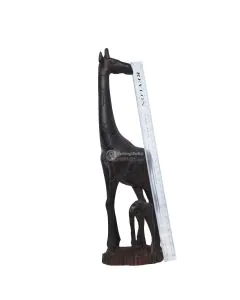 Twiga na Mtoto/Giraffe with Calf