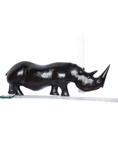 Faru/Rhino