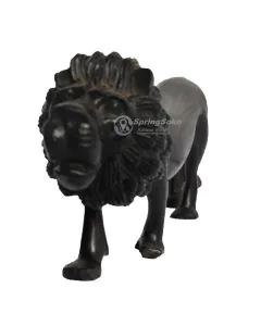 Simba/Lion