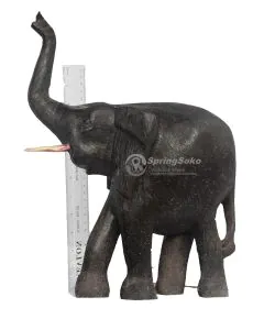 Tembo/Elephant