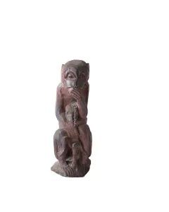 Monkey with infant/Nyani na Mtoto