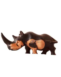 Faru/Rhino