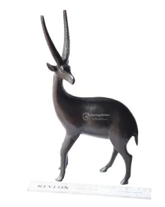 Swala/Antelope