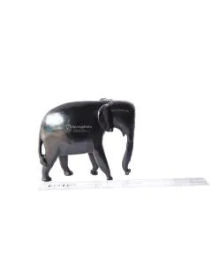 Tembo/Elephant