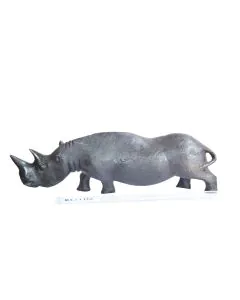 Faru/Rhino