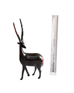 Swala/Antelope