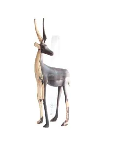 Swala