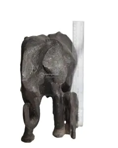 Tembo na Mtoto/Elephant with Calf