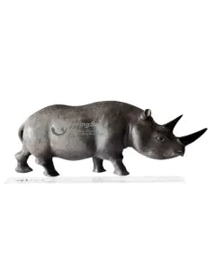 Faru/Rhino