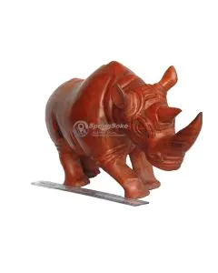 Faru/Rhino
