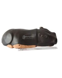 Sleeping Hippo/Kiboko Kalala #2