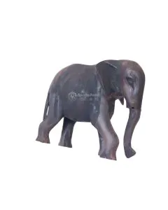 Tembo/Elephant