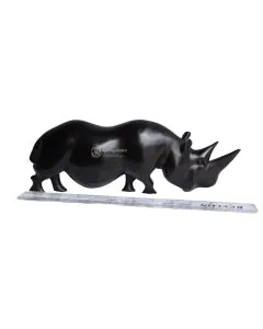 Faru/Rhino
