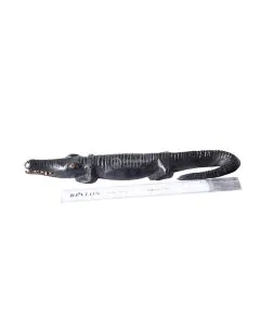 Mamba/Crocodile