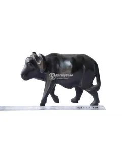 Buffalo