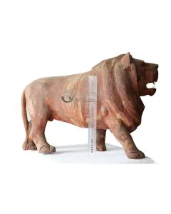 Simba/Lion