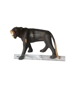 Simba/Lion #7