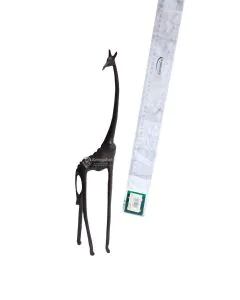Twiga/Giraffe Skeleton