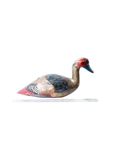 Bata/Duck