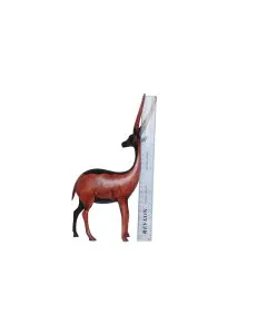 Swala/Antelope