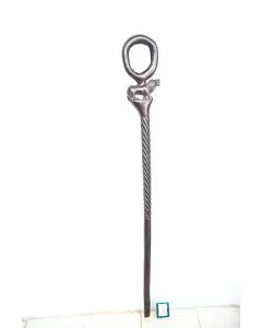 Lion's Walking Stick