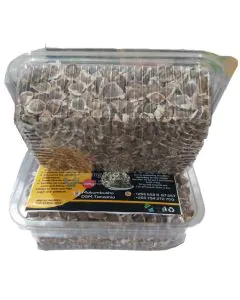 Moringa Seeds 300gm