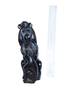 Simba na Mwanae/Lion with Cub