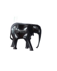 Elephant #1