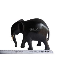 Tembo/Elephant