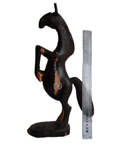 Farasi/Horse