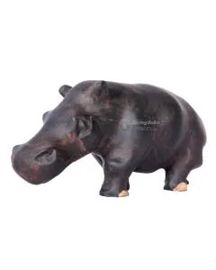Kiboko/Hippo