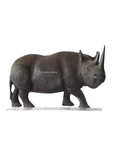 Faru/Rhino #16