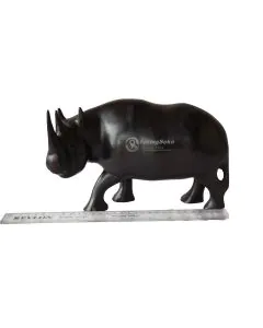 Faru/Rhino