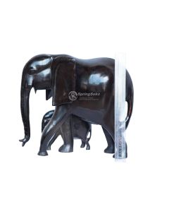 Tembo na Mtoto/Elephant with a Calf